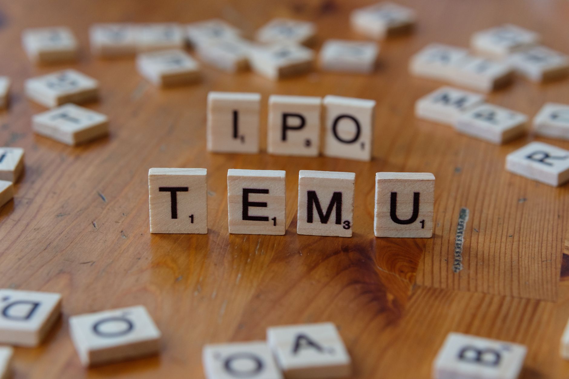 Zetwerk IPO details